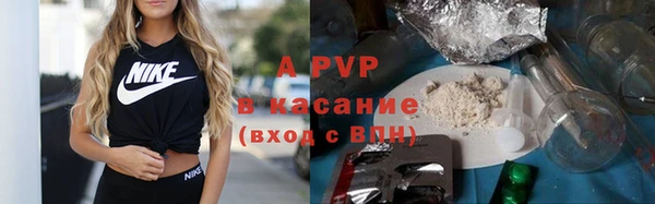 стаф Братск
