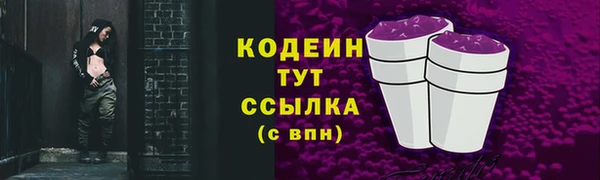 стаф Братск