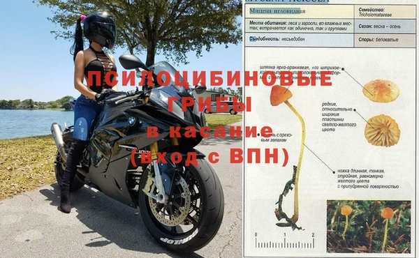 ГАЛЛЮЦИНОГЕННЫЕ ГРИБЫ Великий Новгород