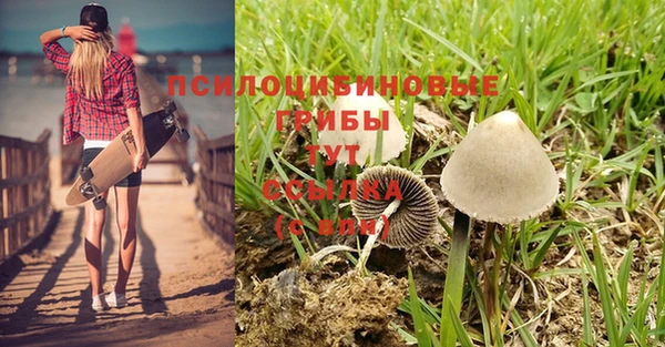 стаф Братск