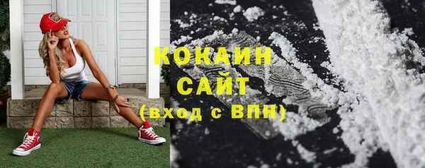ГАЛЛЮЦИНОГЕННЫЕ ГРИБЫ Великий Новгород