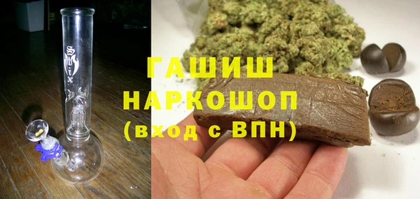 стаф Братск
