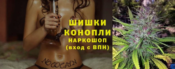 стаф Братск